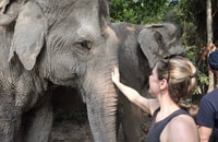 Siem Reap, pequeña gira grupal de Kulen Elephant Forest - Housity