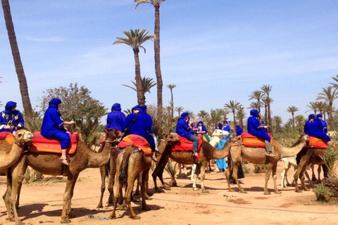 Palmeraie Quad Bike & Camel Ride