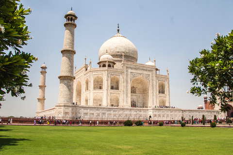 From Delhi: Taj Mahal Sunrise with Agra Fort Day Trip by Car