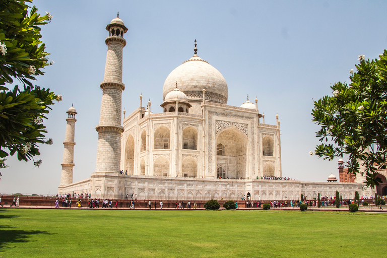 From Delhi: Taj Mahal Sunrise with Agra Fort Day Trip by Car