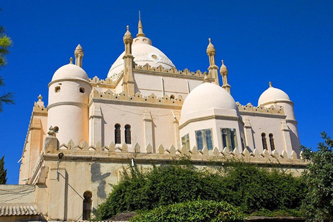 Tunis: Carthago, Sidi Bou Said en Medina privétour