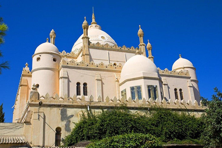 Túnis: Excursão de um dia particular a Cartago, Sidi Bou Said e Medina