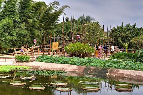 Agadir: Äventyr i krokodilparken i Agadir