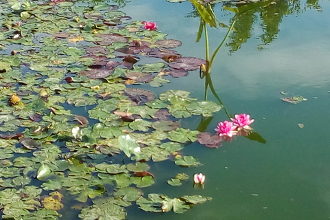 Agadir: Agadir Krokodillenpark avontuur