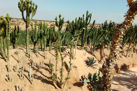 Agadir: przygoda w parku krokodyli w Agadirze