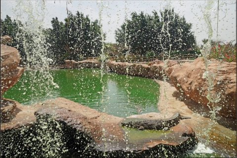 Agadir : Aventure au parc des crocodiles d'Agadir