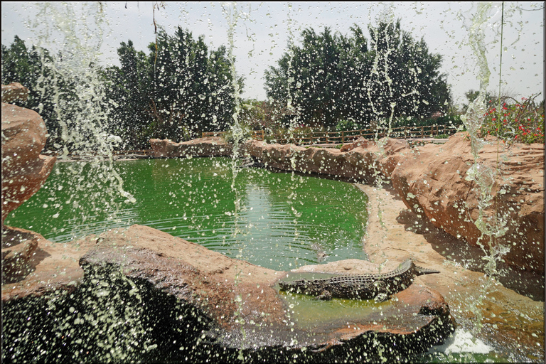 Agadir: Agadir Crocodile Park Adventure