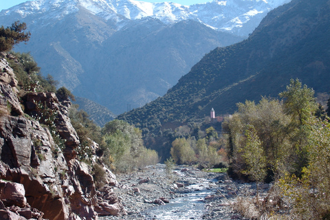 Agadir: Valle del Paraíso y Viaje a la Montaña del Atlas con Desayuno