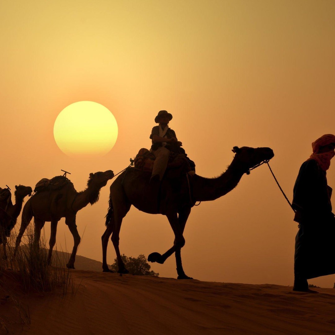 Agadir : balade à dos de chameau au coucher du soleil, rivière des flamants roses et dîner