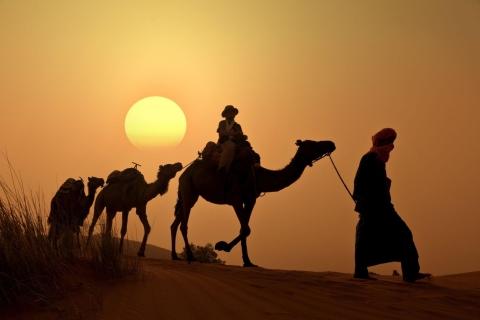 Agadir: przejażdżka na wielbłądach o zachodzie słońca – grill nad rzeką Flamingo i kuskus