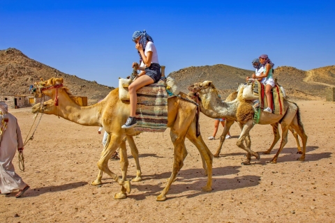 Agadir: przejażdżka na wielbłądach o zachodzie słońca – grill nad rzeką Flamingo i kuskus
