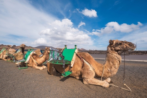 Agadir: Sunset Camel Ride - Flamingo River BBQ & Couscous