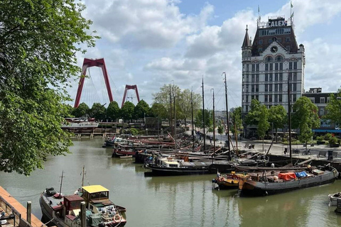 Private half-day Delft and Rotterdam Tour Delft to Rotterdam English