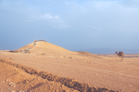 From Marrakech: Agafay Desert Camel Ride and Dinner and Show Agafay Desert : Camel Ride and Dinner and Show