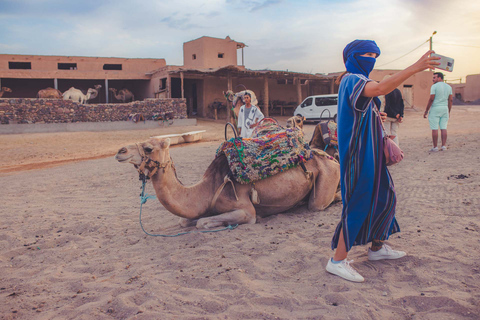 From Marrakech: Agafay Desert Camel Ride and Dinner and Show Agafay Desert : Camel Ride and Dinner and Show