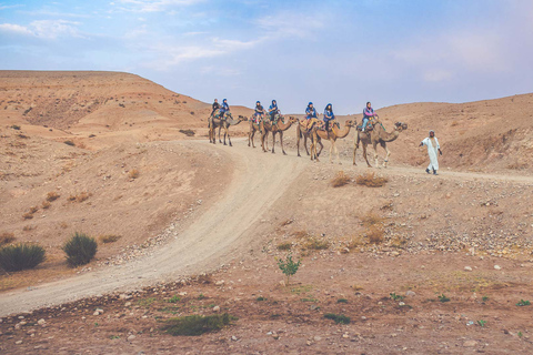 From Marrakech: Agafay Desert Camel Ride and Dinner and Show Agafay Desert : Camel Ride and Dinner and Show