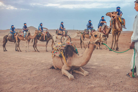 From Marrakech: Agafay Desert Camel Ride and Dinner and Show Agafay Desert : Camel Ride and Dinner and Show