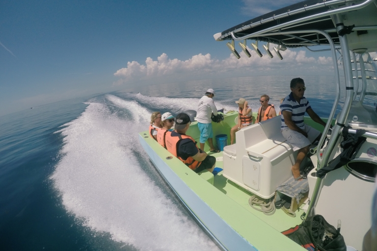 Pływanie z rekinami wielorybimi w CancunPływanie z rekinami wielorybimi z Cancun i Riviera Maya