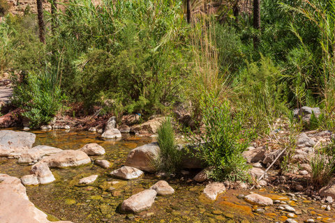 Agadir Paradise Valley Tour with Swimming and Lunch