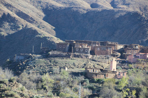 Excursión al Valle del Paraíso de Agadir con Baño y Almuerzo