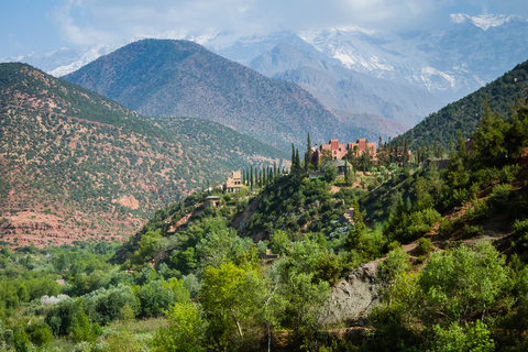 Tour de la vallée du Paradis d'Agadir avec baignade et déjeuner