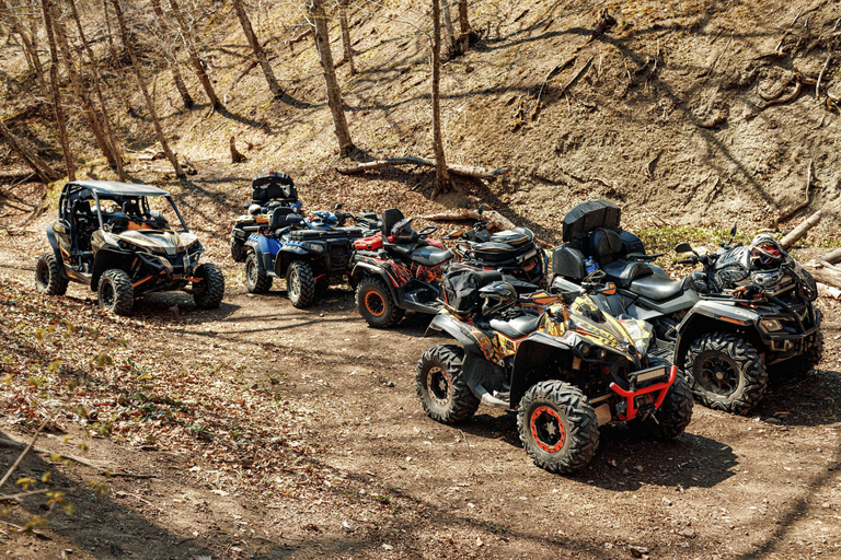 Da Agadir: tour in ATV delle dune del deserto con tè e trasferimenti