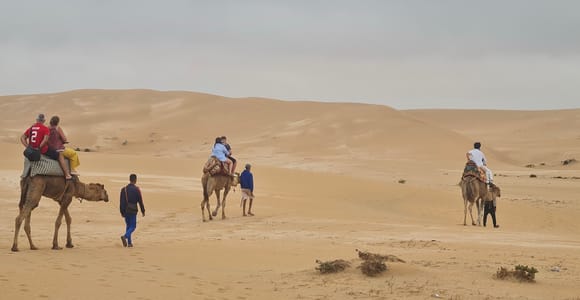 Agadir: Sahara Desert Camel ride & Sandboarding Halfday Trip