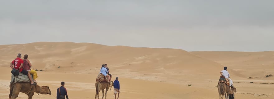 Agadir : Balade à dos de chameau dans le désert du Sahara et Sandboarding en demi-journée
