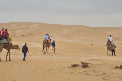Agadir Sahara Wüste Kamelritt & Sandboarding Halbtagesausflug