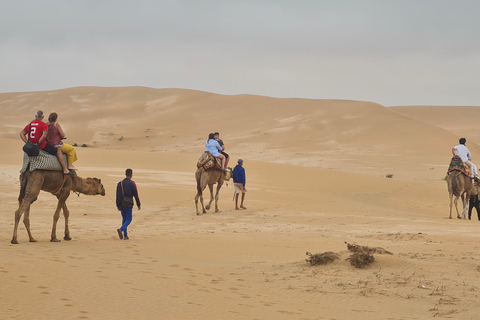 Excursion d'une demi-journée à Agadir dans le désert du Sahara à dos de chameau et en planche à sable