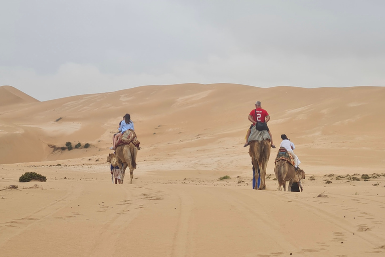 Excursion d'une demi-journée à Agadir dans le désert du Sahara à dos de chameau et en planche à sable