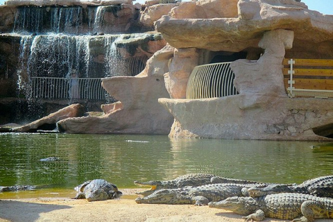 Agadir: Cabra nas árvores e Crocopark, incluindo traslado do hotelCabra nas árvores e parque de crocodilos, incluindo embarque no hotel