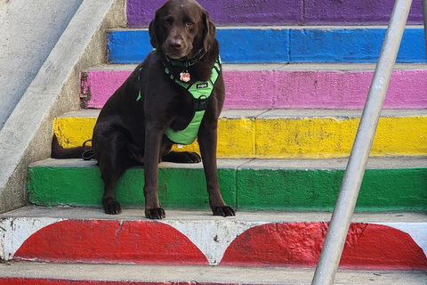 Los Angeles: Secret Painted Stairs Walking Tour w/ Bakery Standard Option