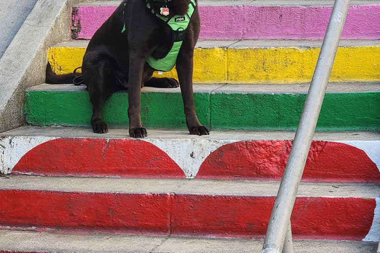 Los Angeles: Secret Painted Stairs Walking Tour w/ Bakery Standard Option