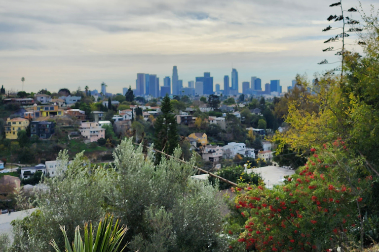 Los Angeles: Secret Painted Stairs Walking Tour w/ Bakery Standard Option