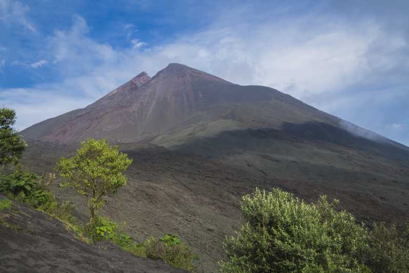 Vanuit Guatemala-Stad of Antigua: Pacaya Volcano Day Tour