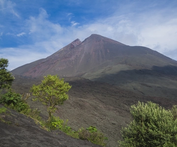 From Guatemala City or Antigua: Pacaya Volcano Day Tour