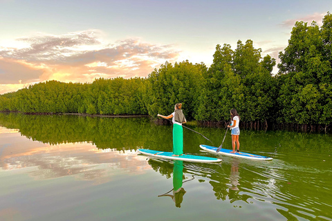 Mauricio: Excursión guiada en Stand Up Paddle por el río Tamarin