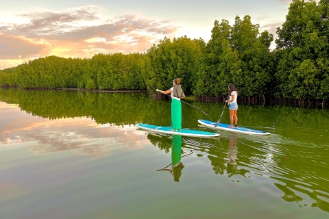 Maurice : Excursion guidée en Stand Up Paddle sur la rivière Tamarin
