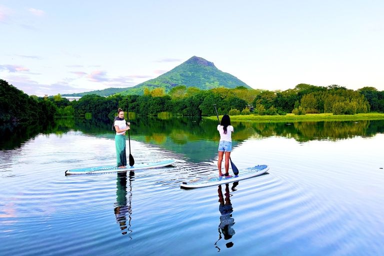 Mauritius: Geführte Stand Up Paddle Tour auf dem Tamarin Fluss