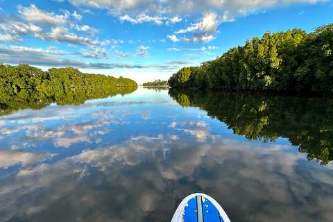 Mauricio: Excursión guiada en Stand Up Paddle por el río Tamarin