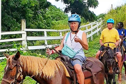 Scenic Horseback Trail