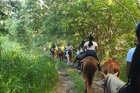 Ruta panorámica a caballo