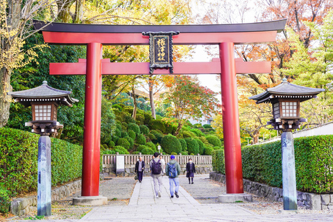 Distriktet Yanaka: Historisk vandringstur i Tokyos gamla stadsdel