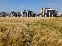 Lenzburg, recorrido a pie privado con un guía local - Housity