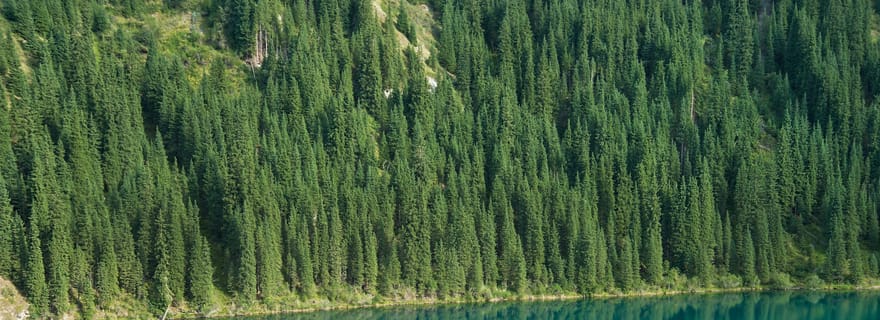 Tout compris : Kolsay, lacs Kaindy, Charyn Canyon, Black Canyon