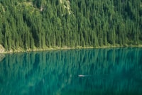 All-inclusive, Kolsai, Kaindy Lakes, Charyn Canyon, Black Canyon - Housity
