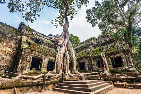 Angkor Wat: piccolo circuito in auto con guida ingleseTour in piccolo circuito con tramonto in auto e guida inglese