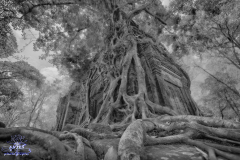 Journée complète à Preah Vihear, Koh Ker et Beng Mealea (visite privée)