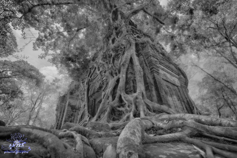 Ganztägige Preah Vihear, Koh Ker und Beng Mealea Privat-Tour